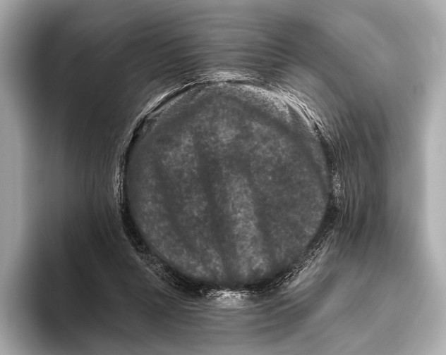 X0000093480352200711020937