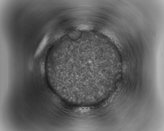 X0000093480353200711020937