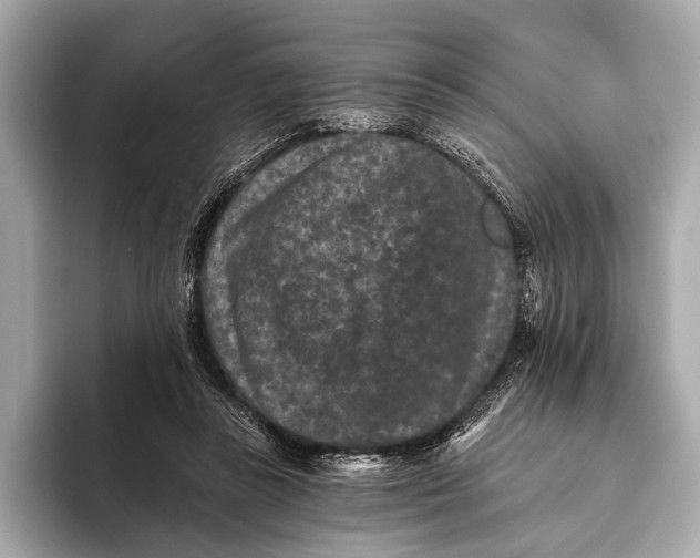 X0000093480355200711020937