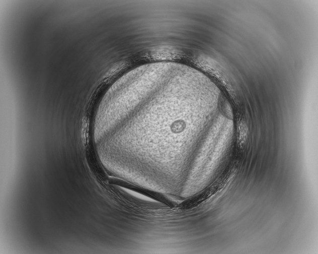 X0000093480356200711020937