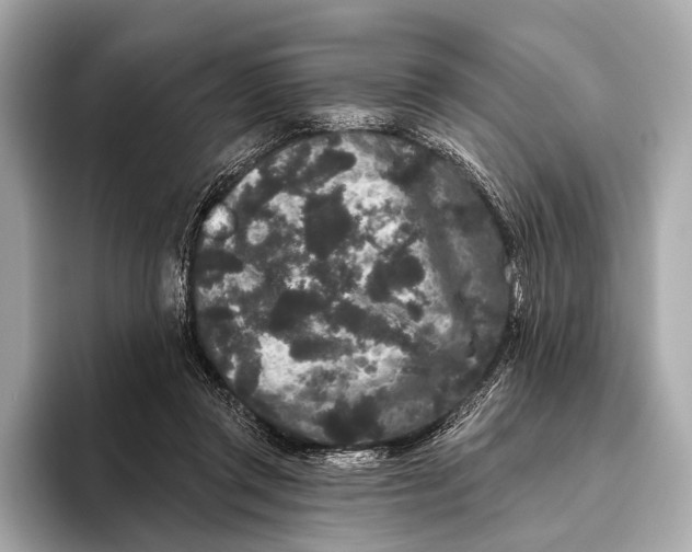 X0000093480357200711020937