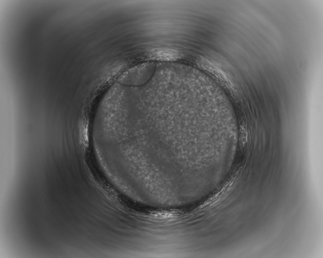 X0000093480358200711020937