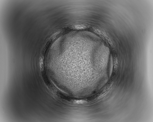 X0000093480360200711020937