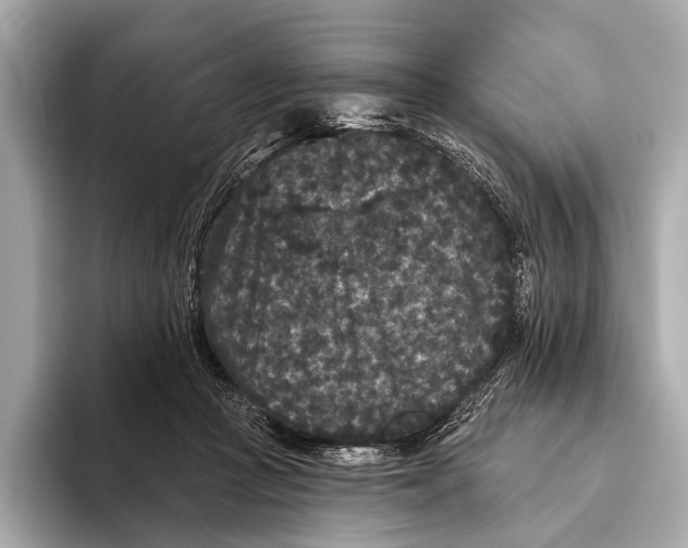 X0000093480361200711020937