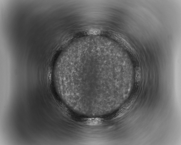 X0000093480363200711020937