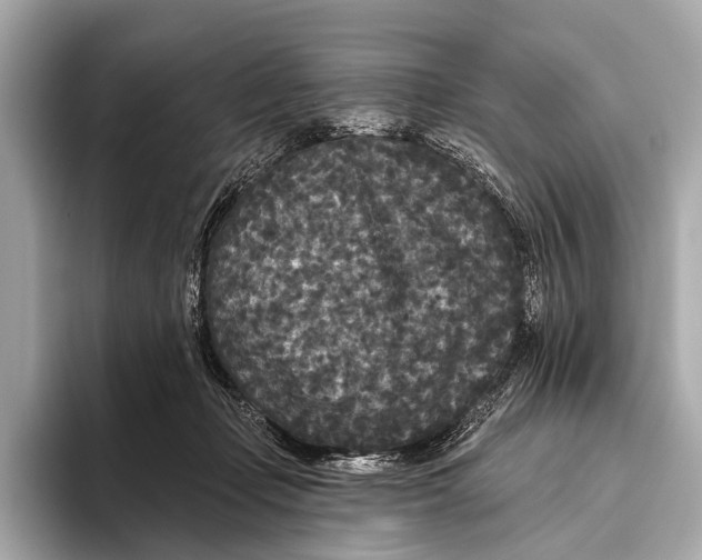 X0000093480365200711020937
