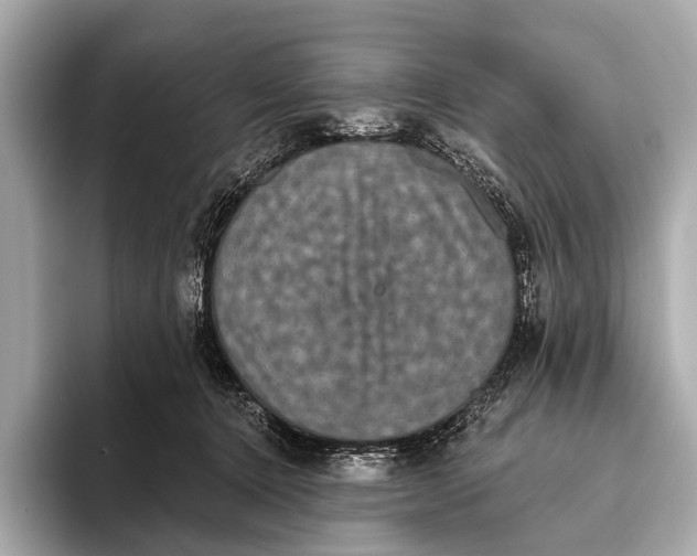 X0000093480368200711020937