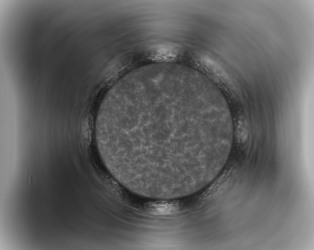 X0000093480370200711020937
