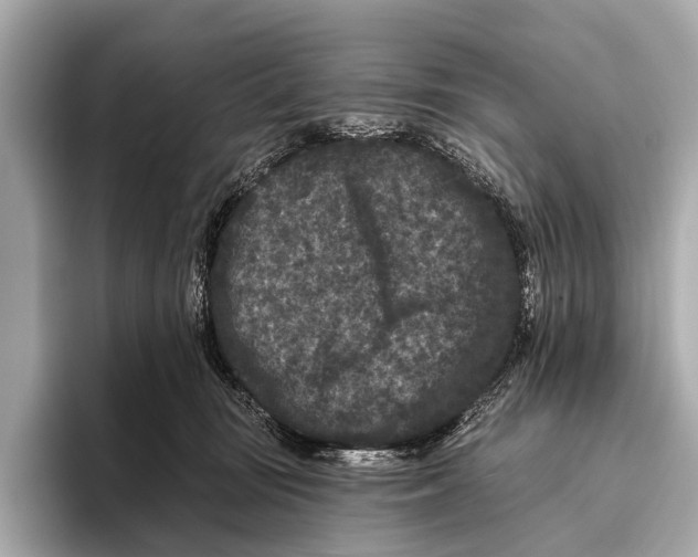 X0000093480371200711020937