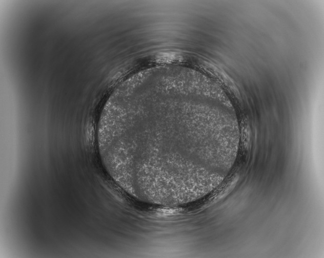 X0000093480375200711020937