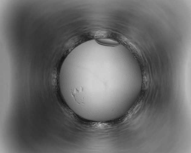 X0000093480379200711020937