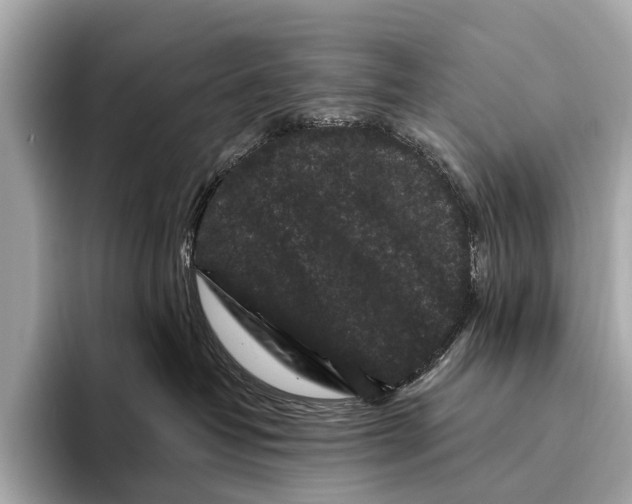 X0000093480382200711020937