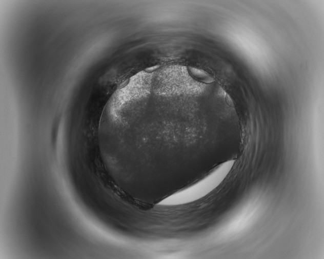 X0000093480383200711020937