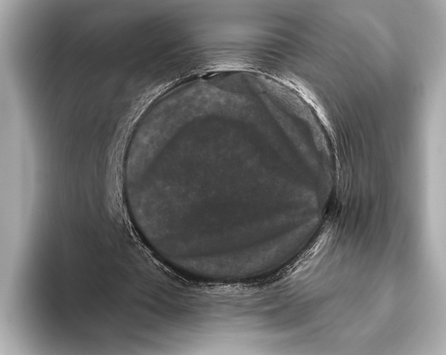 X0000093480385200711020937