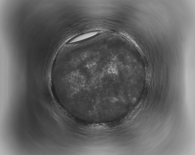 X0000093480386200711020937