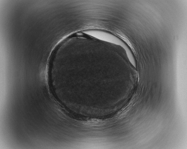 X0000093480387200711020937