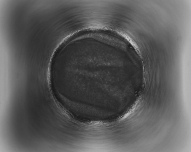 X0000093480391200711020937
