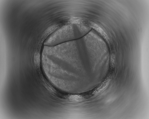 X0000093480397200711020937