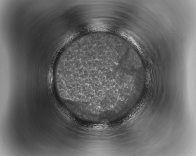 X0000093480398200711020937