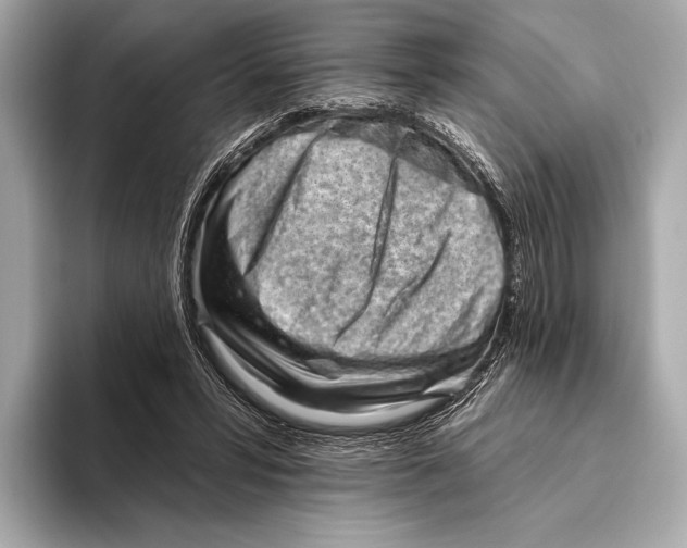 X0000093480399200711020937