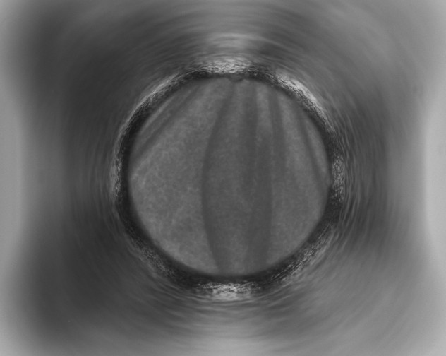 X0000093480400200711020937