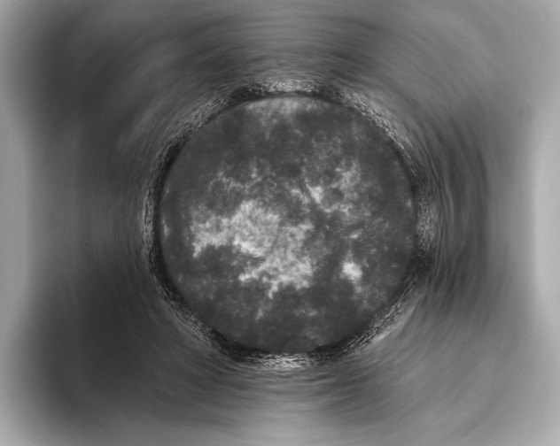 X0000093480402200711020937