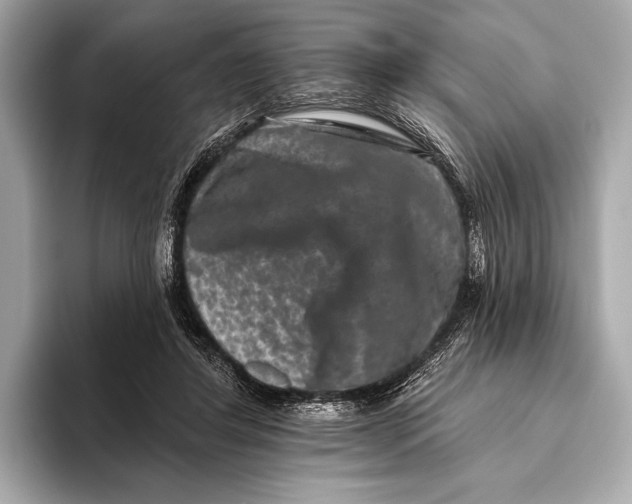 X0000093480404200711020937