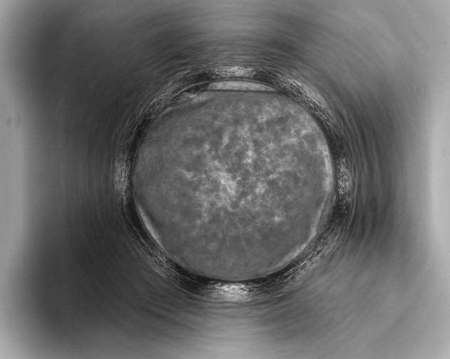 X0000093480409200711020937