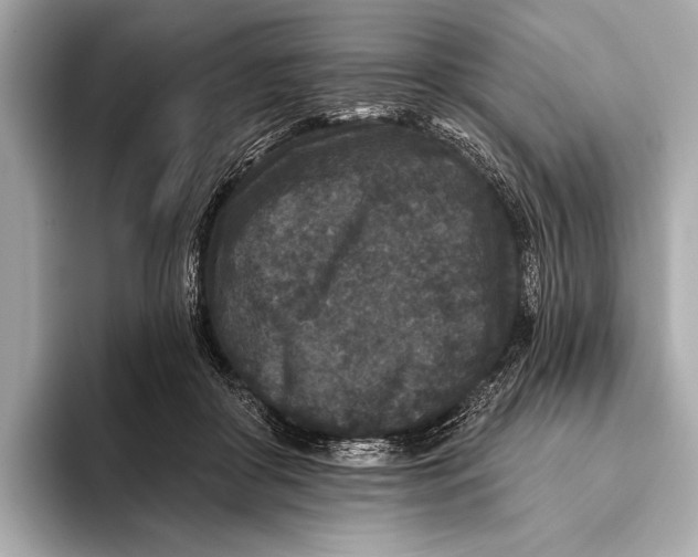 X0000093480410200711020937