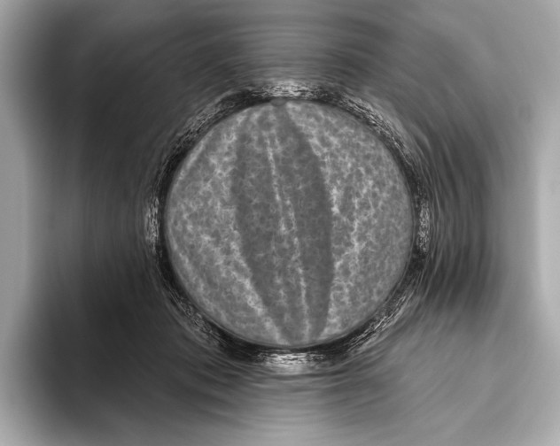 X0000093480413200711020937