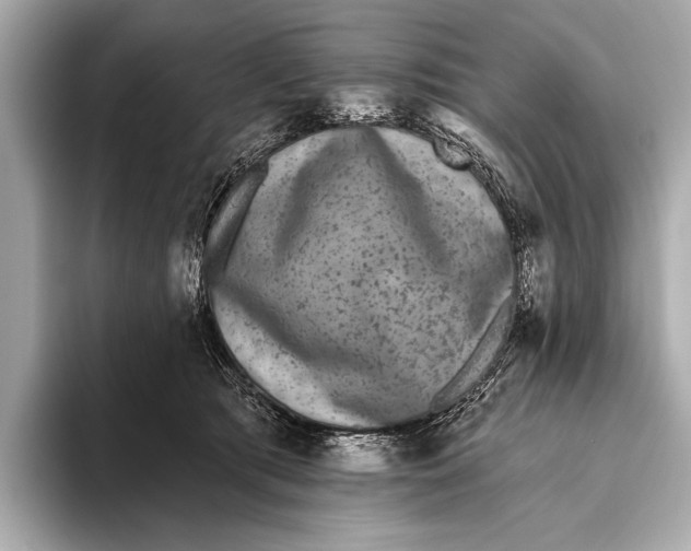 X0000093480417200711020937