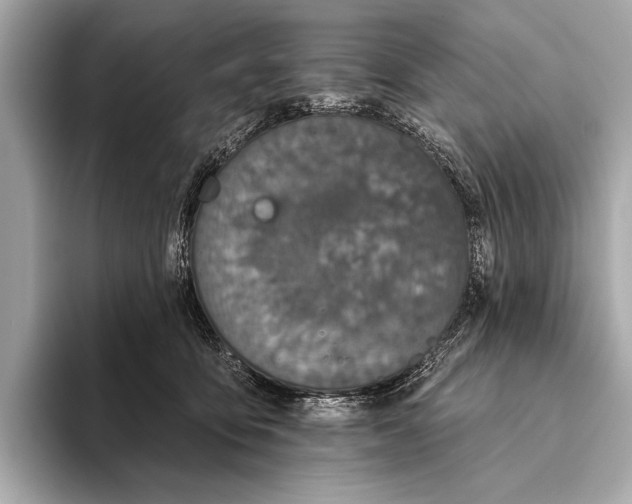 X0000093480419200711020937