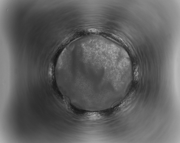 X0000093480424200711020936