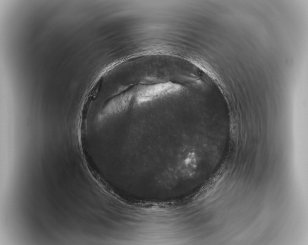X0000093480434200711020936
