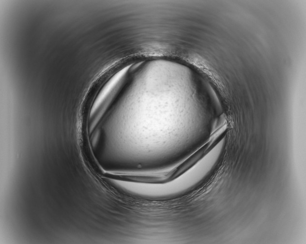 X0000093480440200711020936