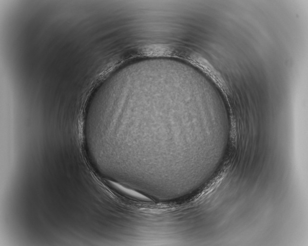 X0000093480441200711020936