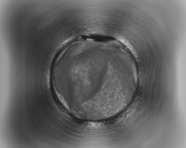 X0000093480442200711020936