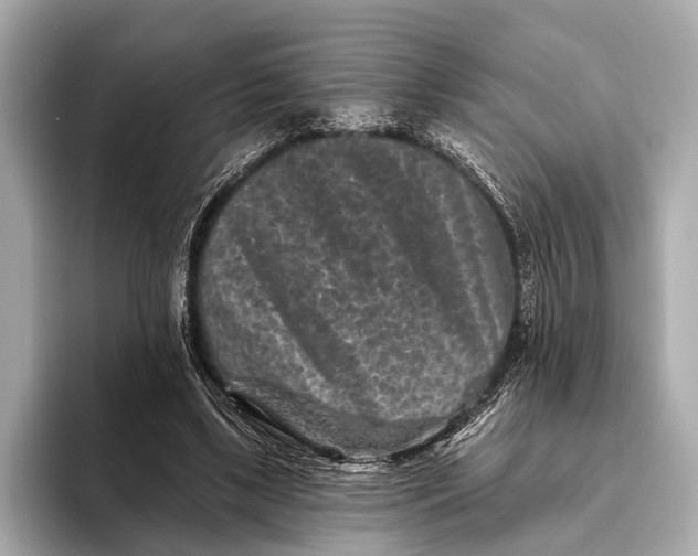 X0000093480443200711020936