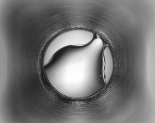 X0000093480444200711020936