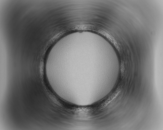 X0000093480445200711020936