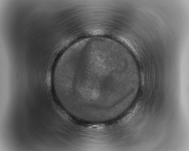 X0000093480447200711020936