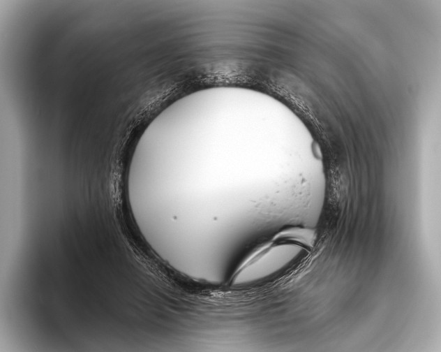 X0000093480450200711020936