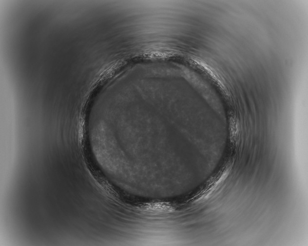 X0000093480451200711020936