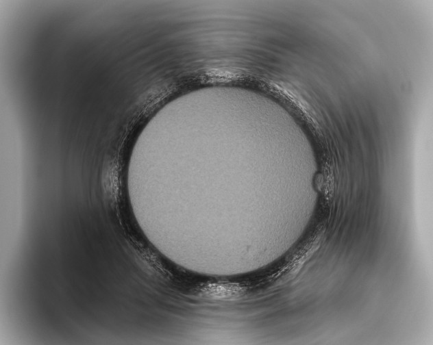 X0000093480455200711020936