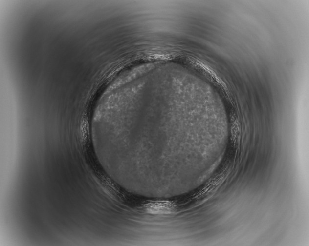 X0000093480459200711020936