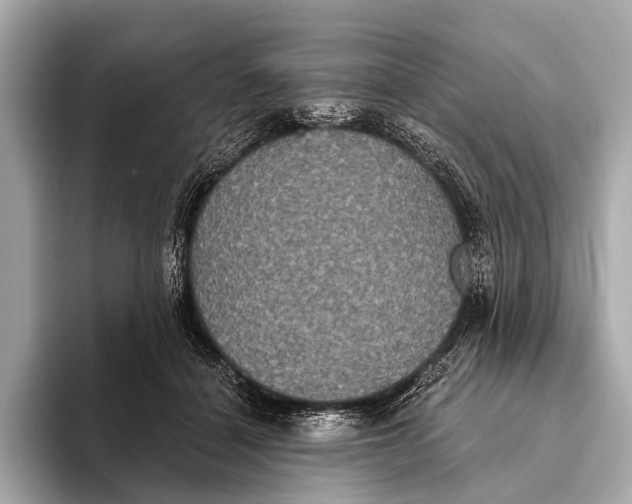 X0000093480460200711020936