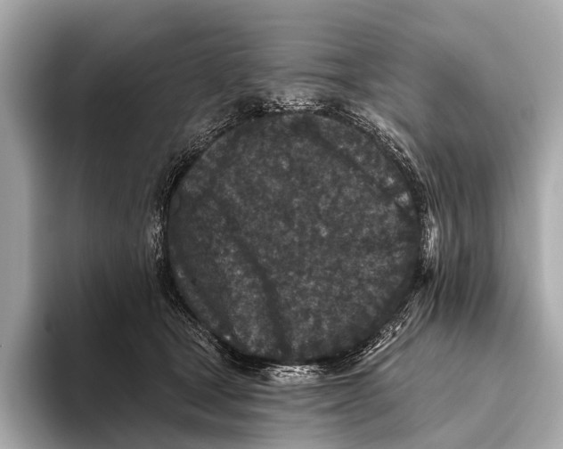 X0000093480465200711020936