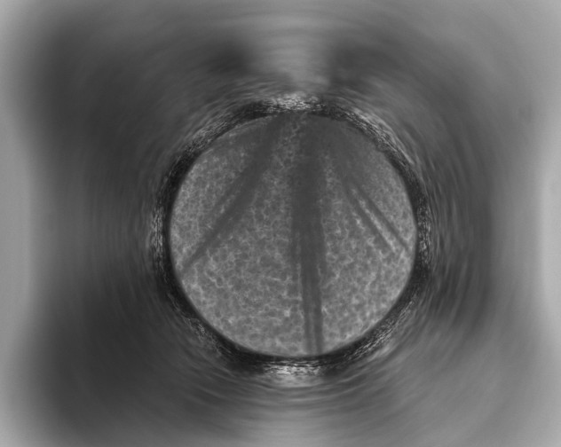 X0000093480466200711020936