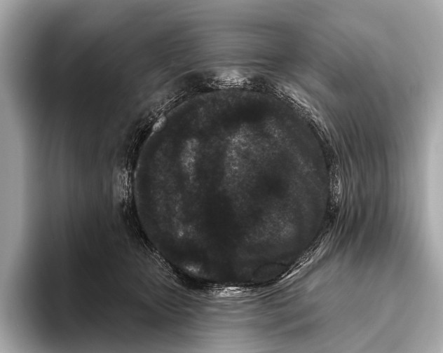 X0000093480467200711020936