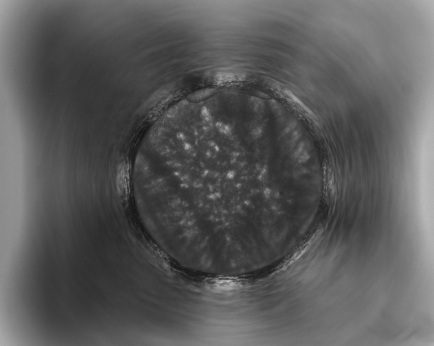 X0000093480475200711020936